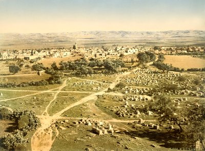 Vista de la ciudad de Ramleh con el cementerio en primer plano, c.1880-1900 de Swiss Photographer